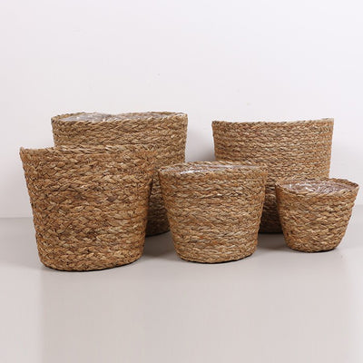 Deniz Sazı 5 'li Saksı Set