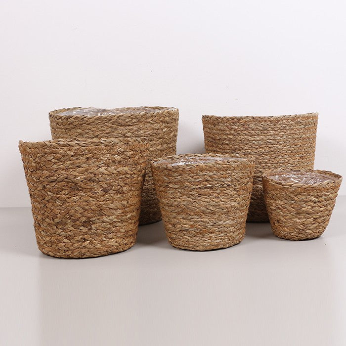 Deniz Sazı 5 'li Saksı Set