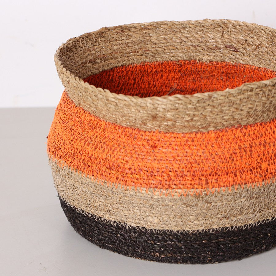 Doğal Deniz Sazı Sepet & Saksı